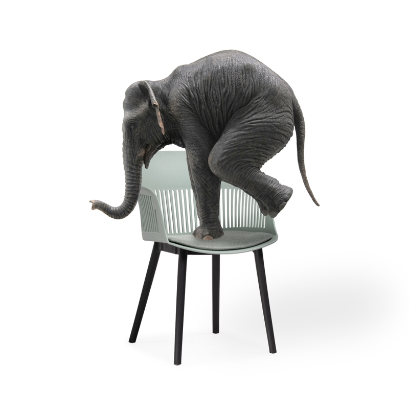 Пластиковый стул Crocs light green / black