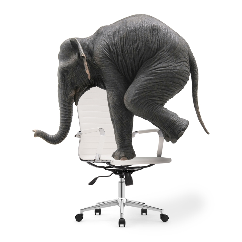 Компьютерное кресло Reus pu white / chrome