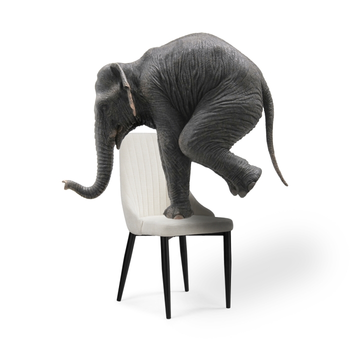 Стул на металлокаркасе Kora white / black