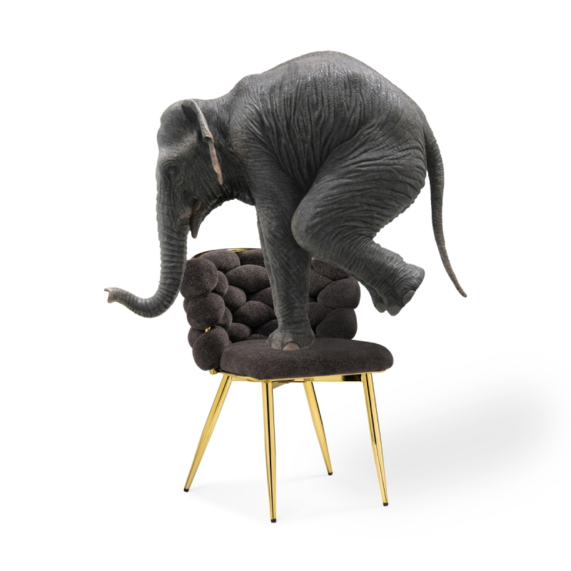 Стул на металлокаркасе Rendi gold / gray