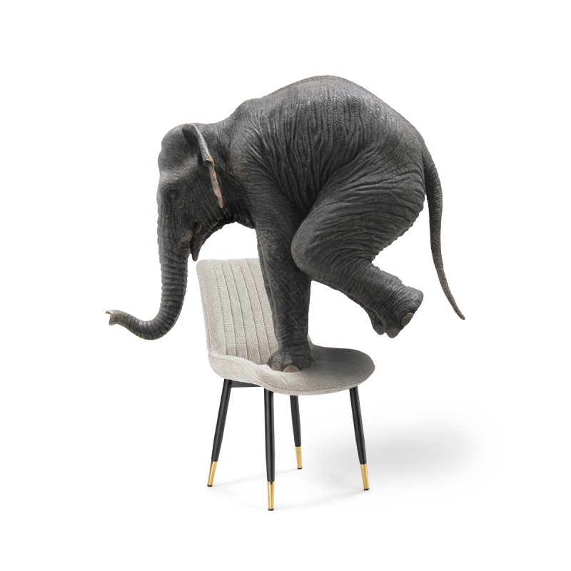 Стул на металлокаркасе Seda 1 latte / black / gold