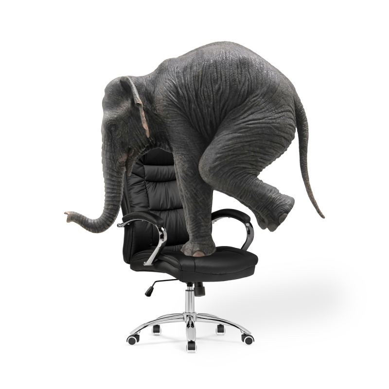 Компьютерное кресло Evora черное