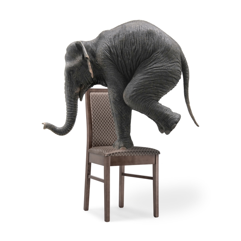 Деревянный стул Амиата орех / коричневый