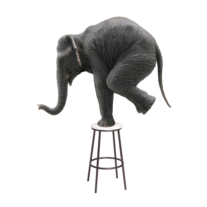 Барный стул Drezegomad белый / темный мусс