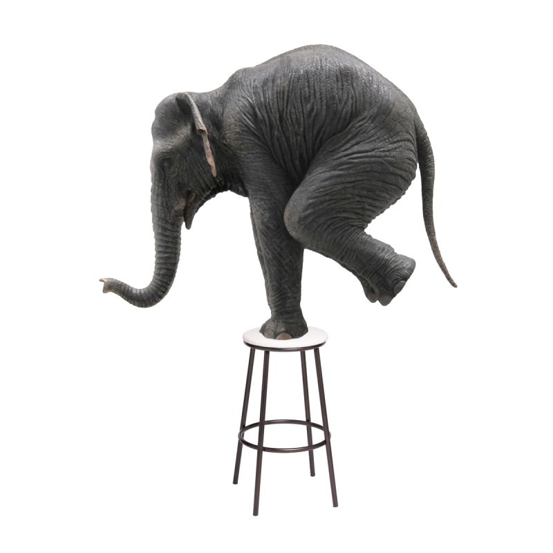 Барный стул Drezegomad белый / темный мусс