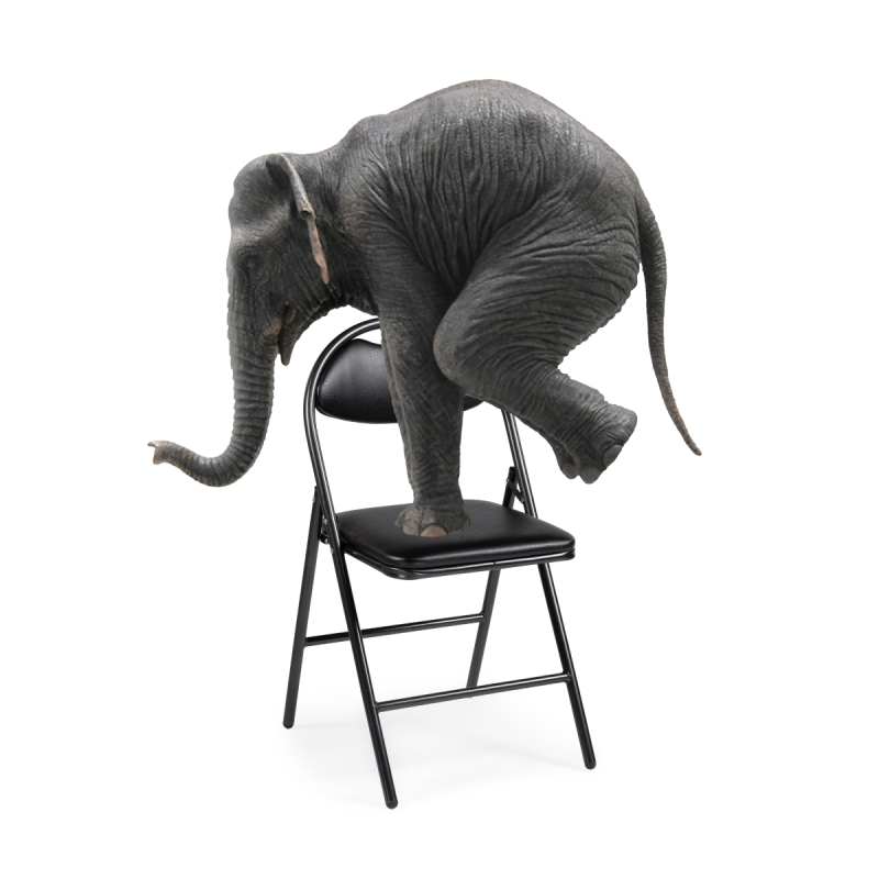 Стул на металлокаркасе Gikat черный / мусс темный