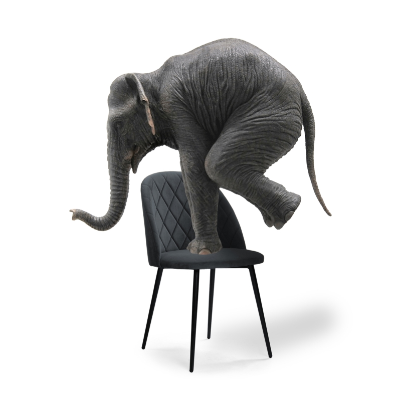 Стул на металлокаркасе Зест микровелюр серый / черный глянец