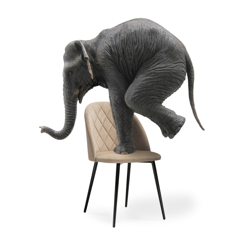 Стул на металлокаркасе Зест микровелюр 05 / черный глянец