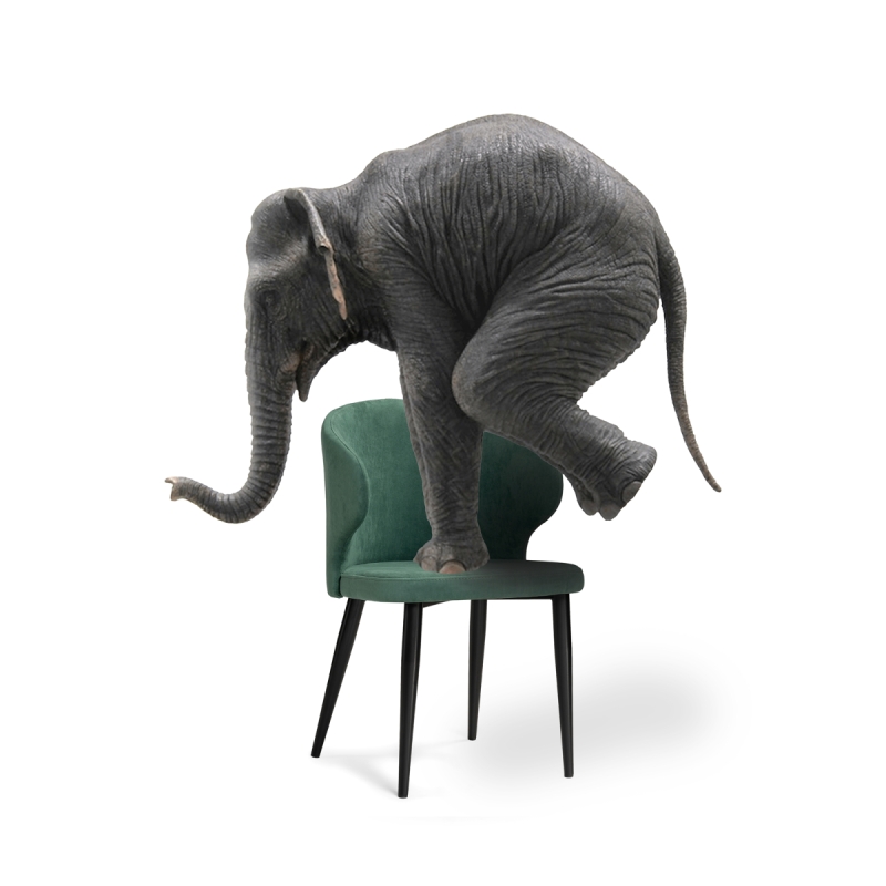 Стул на металлокаркасе Алсисар катания изумруд / черный