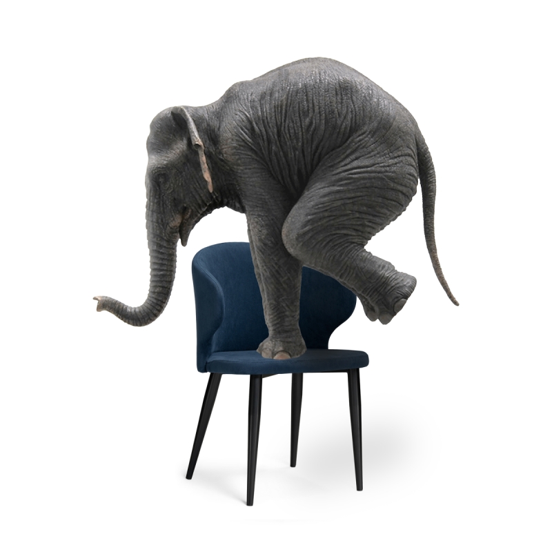 Стул на металлокаркасе Алсисар темно-синий / черный