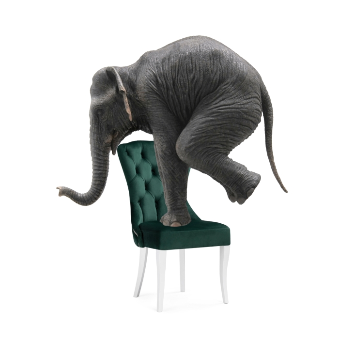 Деревянный стул Милано 1 зеленый / белый