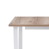 Стол раскладной Лота Лофт 120(160)х75х75 25 мм дуб делано светлый / матовый белый