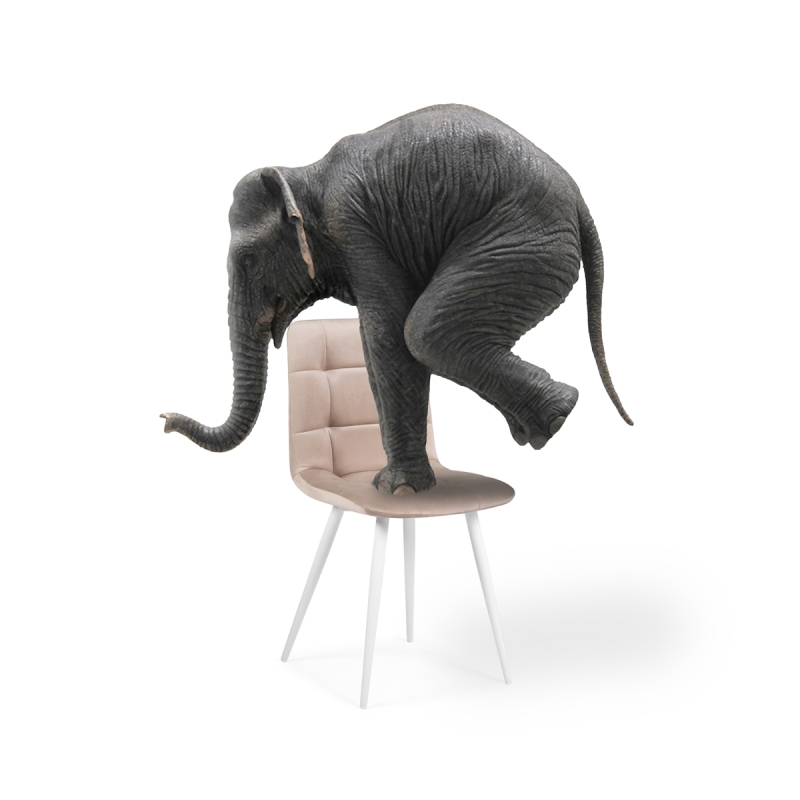 Стулья на металлокаркасе Чилли К бежевый / белый