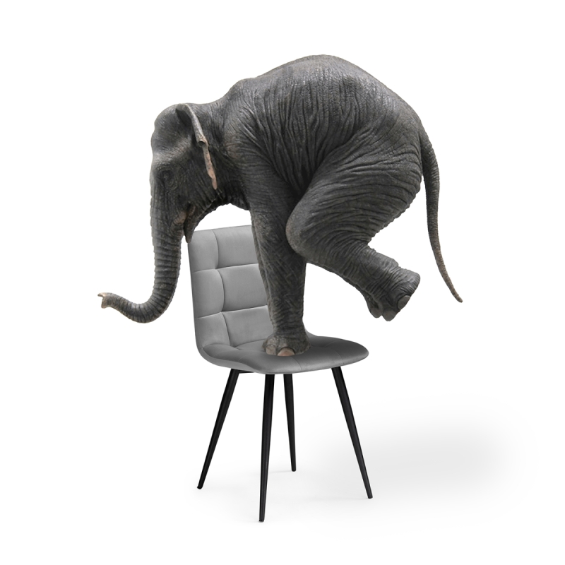 Стул на металлокаркасе Чилли К темно-серый / черный