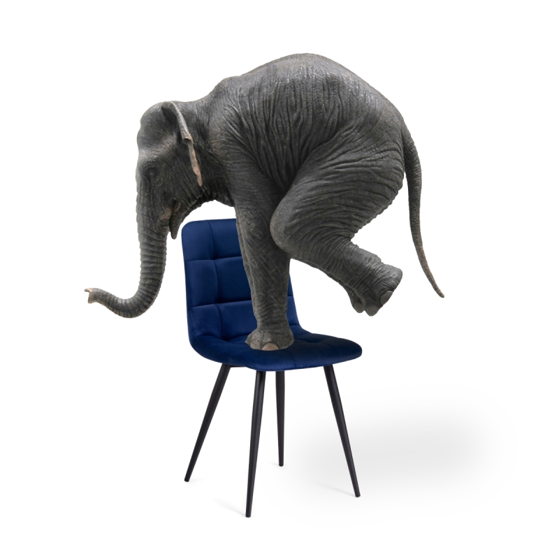 Стул на металлокаркасе Чилли велюр синий / черный