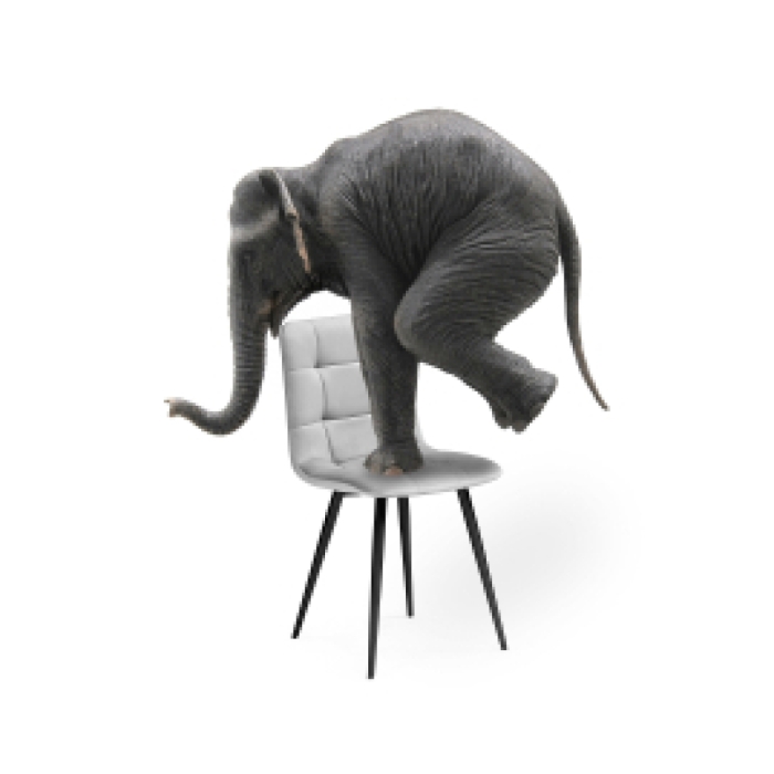 Стул на металлокаркасе Чилли К светло-серый / черный