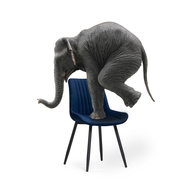 Стул на металлокаркасе Седа велюр синий / черный