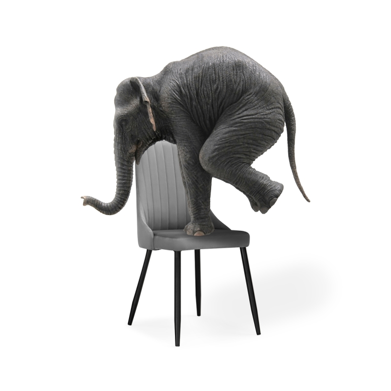 Стул на металлокаркасе Кора темно-серый / черный