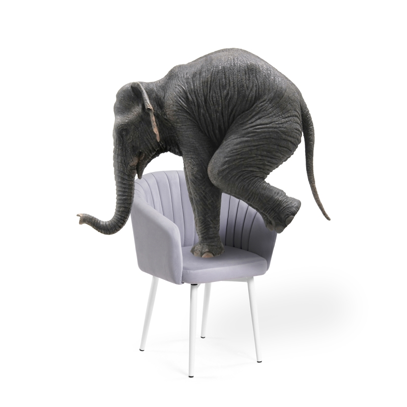 Стул на металлокаркасе Моншау крутящийся velutto 49 / белый