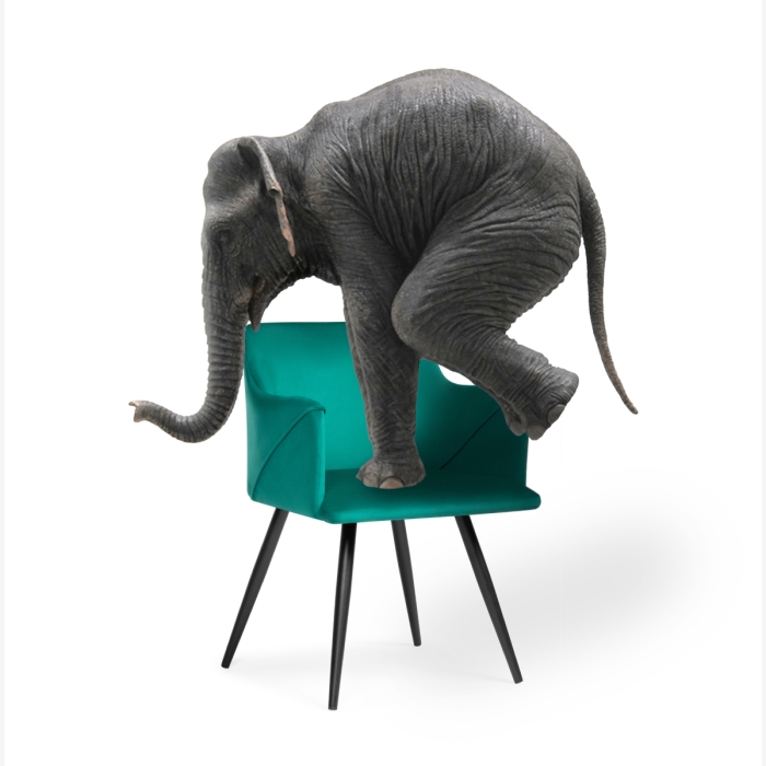 Стул на металлокаркасе Эджелл зеленый / черный