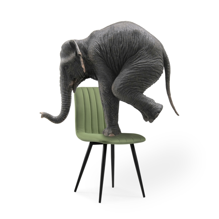 Стул на металлокаркасе Дани зеленый / черный