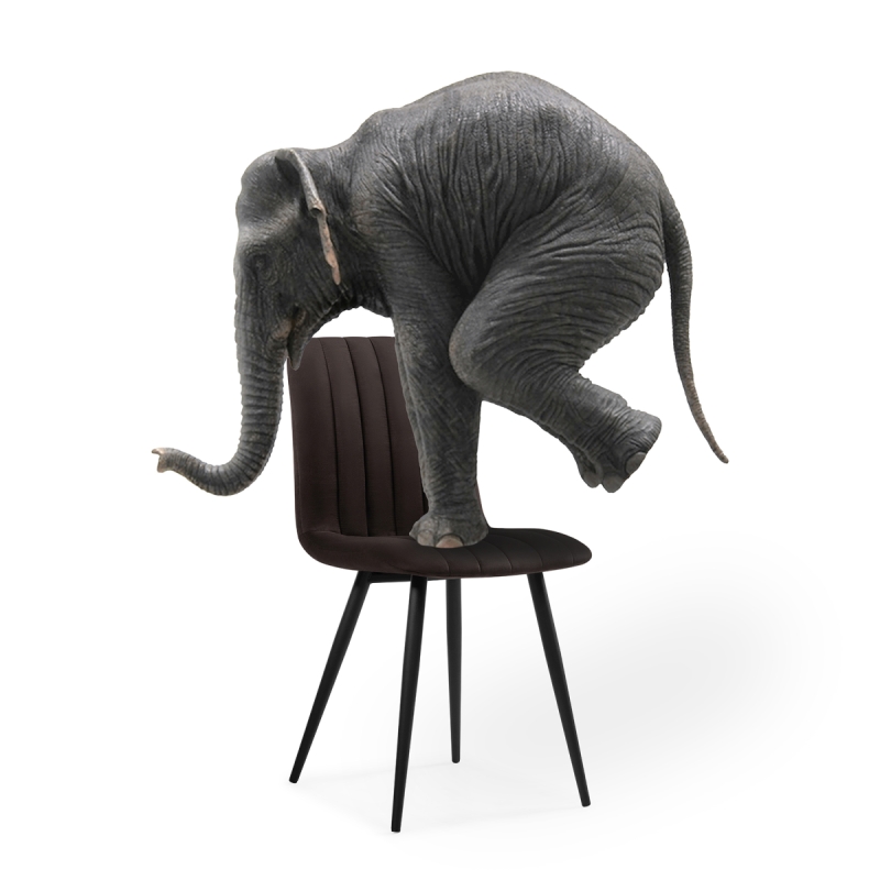 Стул на металлокаркасе Дани коричневый / черный