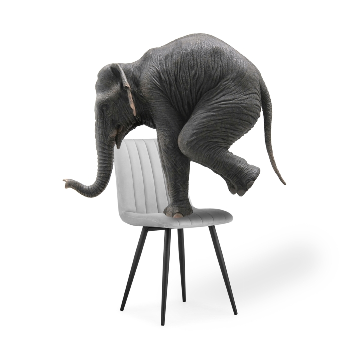 Стул на металлокаркасе Дани светло-серый / черный