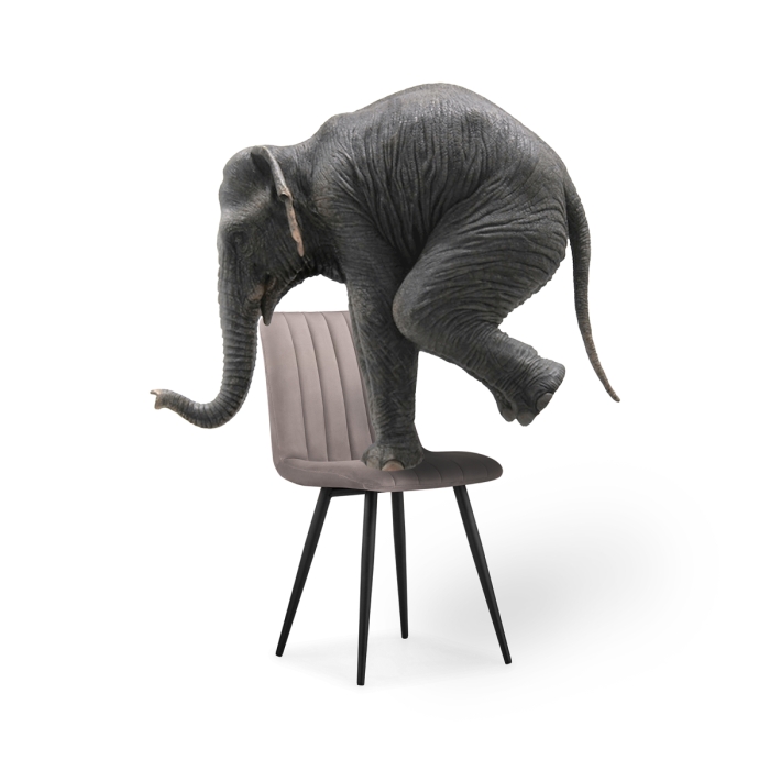 Стул на металлокаркасе Дани латте велюр velutto 08 / черный