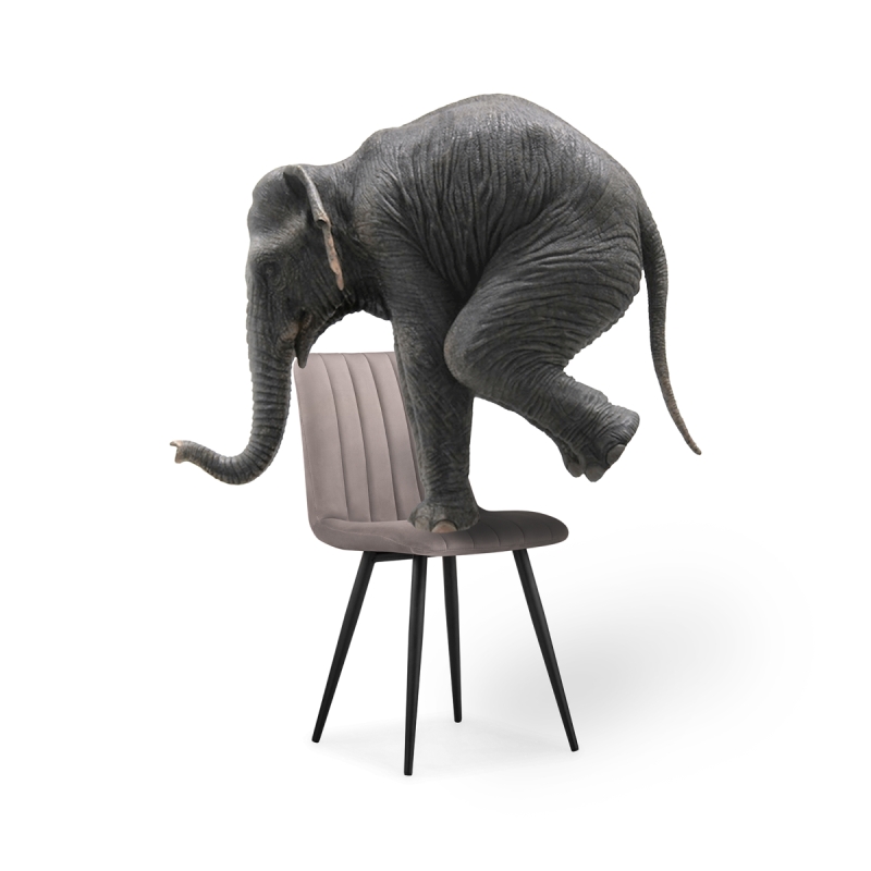 Стул на металлокаркасе Дани латте велюр velutto 08 / черный