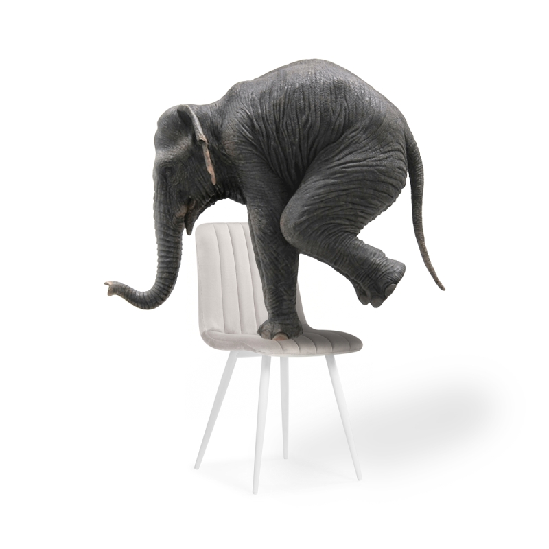 Стул на металлокаркасе Дани молочный велюр velutto 67 / белый