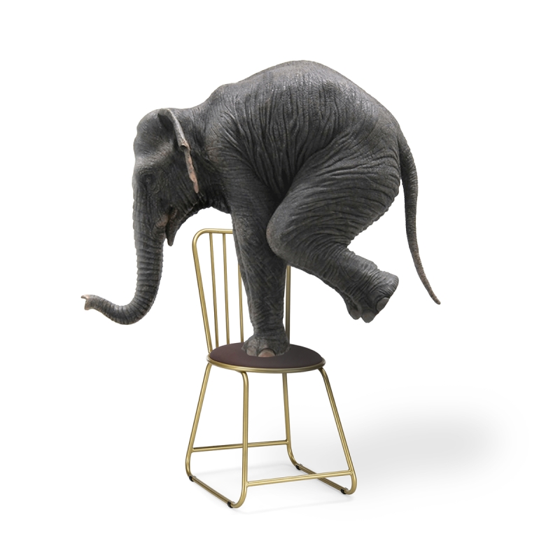 Стул на металлокаркасе Лирион какао велюр / золото