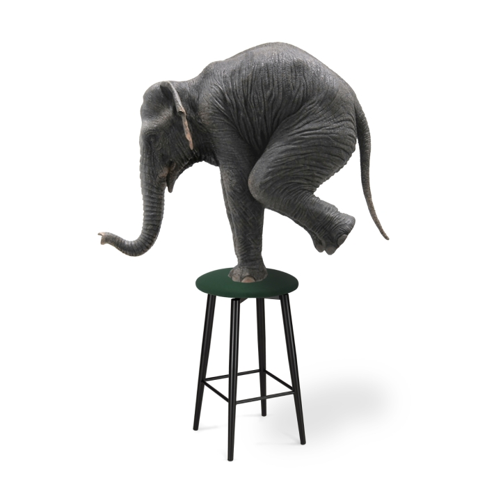 Полубарный стул Гангток крутящийся изумруд / черный матовый